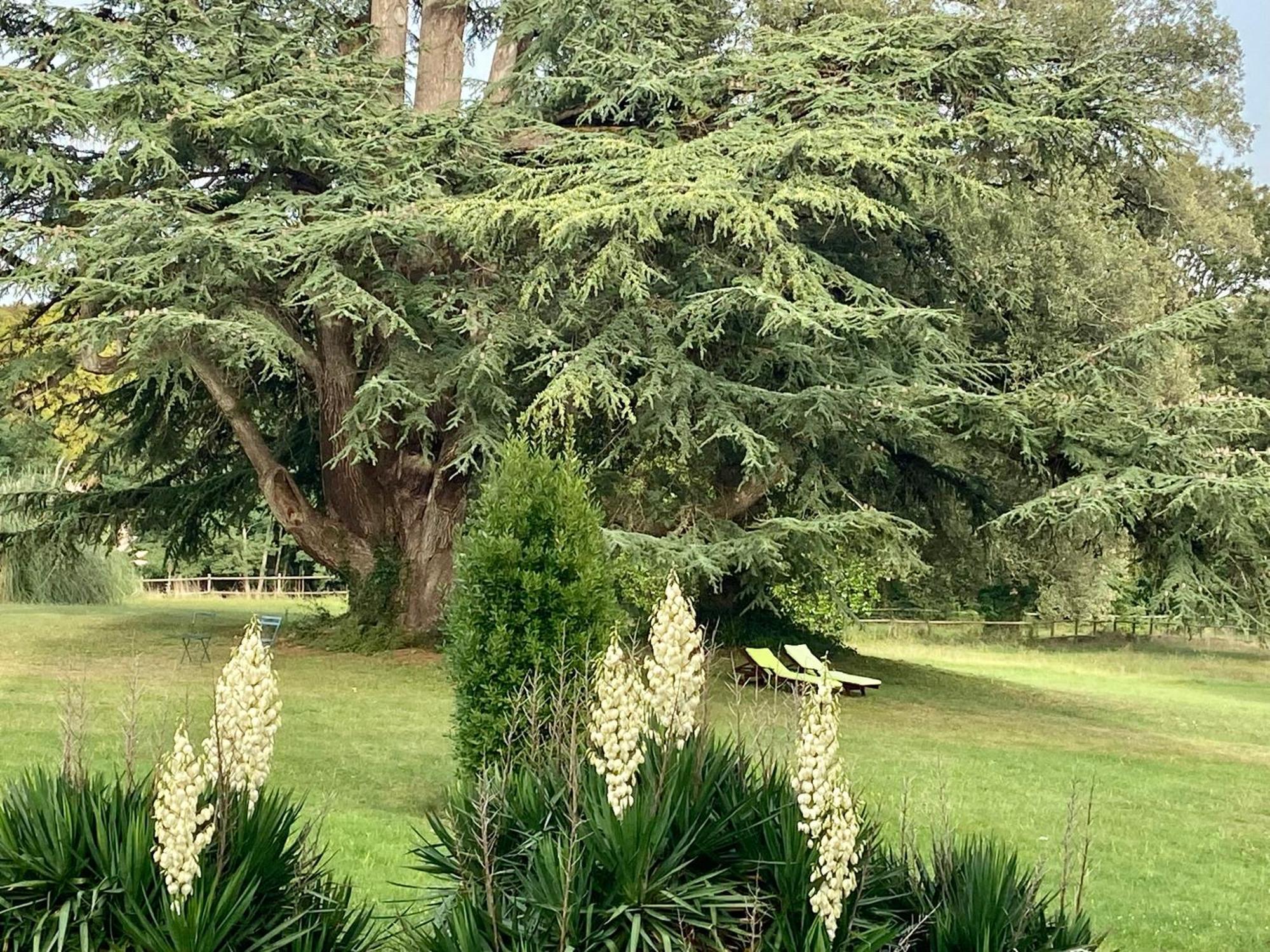 Chateau La Bainerie Tierce Екстер'єр фото